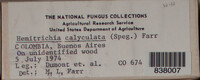 Image Associated With the Occurence